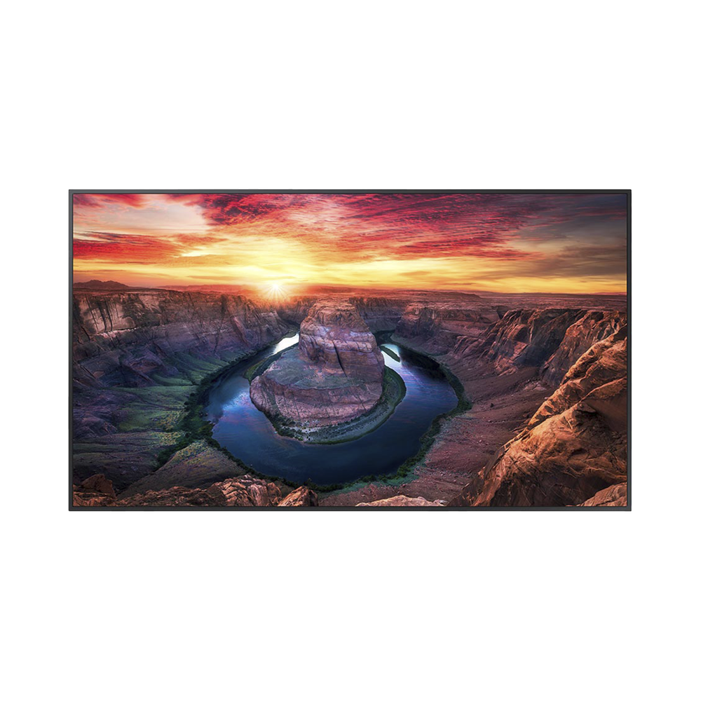 Pantalla Profesional LED de 65", UHD 4K (3840x2160p), Entradas de Video HDMI/DisplayPort, Bocinas Integradas de 10 W. Compatible VESA. Modo de Simulación DICOM